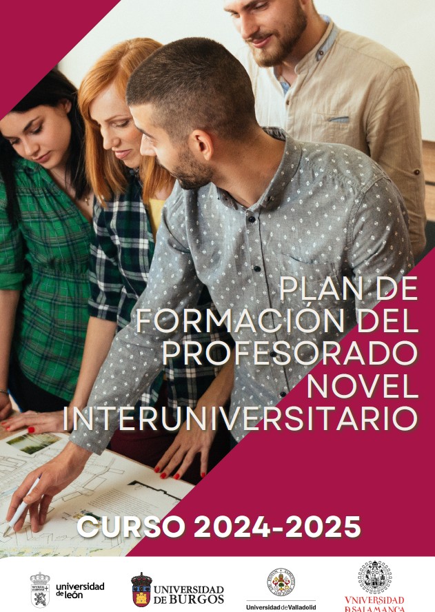 Plan de formación del profesorado novel interuniversitario – Curso 2024-2025